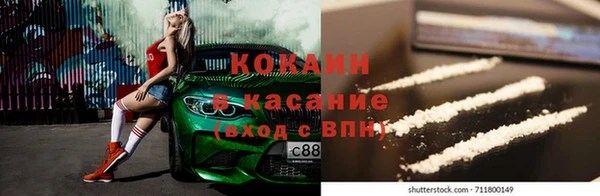 apvp Богородицк