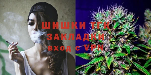 ешки Богданович