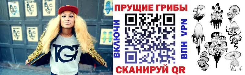 где купить наркоту  Каменка  Галлюциногенные грибы прущие грибы 